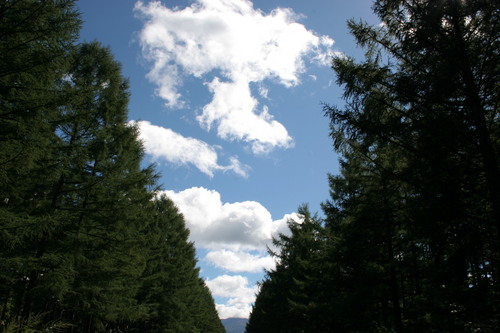写真撮影、山遊び、山里散策、蕎麦、木工、薪ストーブ大好き。  北軽井沢山中に山小屋を造って１8年。今も手造り改造進行中。全国アマチュア写真作家の良い作品を後世に残す方法を模索しています。写真集各種出版、木のペーパーウェイト各種作成。