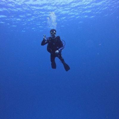 sonofabritz's profile picture. 