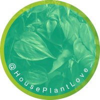houseplantlove(@houseplantlove_) 's Twitter Profile Photo