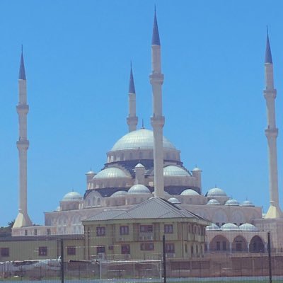 sheller_badd's profile picture. 