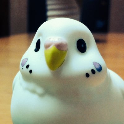 もちもさんのプロフィール画像