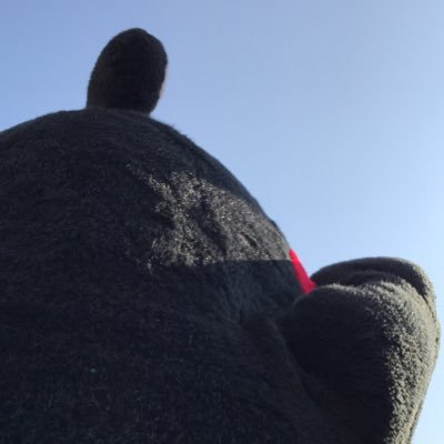 akatsuki1626's profile picture. 聖飢魔II/閣下.殿下推し/ルークさんの楽曲💙/《山陽くまモン会》会員No.12/香港台湾好き/雑多垢/Twitter避難垢 https://t.co/SCP98yxS1g