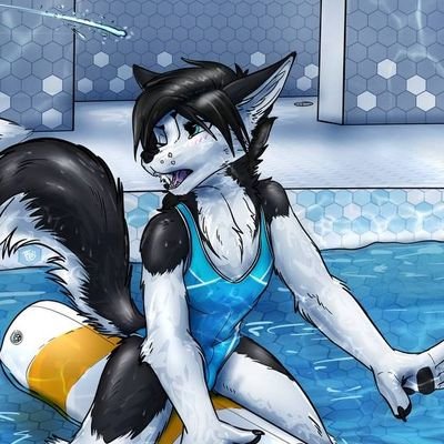 The Unapologetically Furry Account of one @Mattyrogue. Not as 'AD' as one might think.
18+ | Swimsuits | Virtual Platforms | Building | Modelling | Volunteering