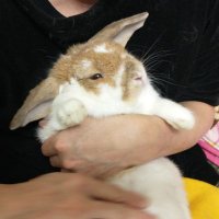 おどん (@cjcmtq2ltrjiffm) 's Twitter Profile Photo