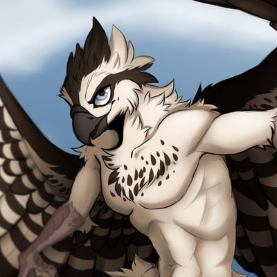 VenturaOsprey Profile Picture