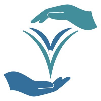 VisualVitality's profile picture. Through education, we remove barriers to accessibility by promoting diversity and inclusion accessibility for people with visible and invisible disabilities.