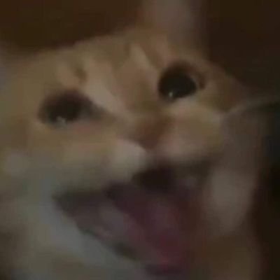 SpaceT00Ls's profile picture. Some guy who likes memes and games and other things
