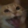 SpaceT00Ls's profile picture. Some guy who likes memes and games and other things