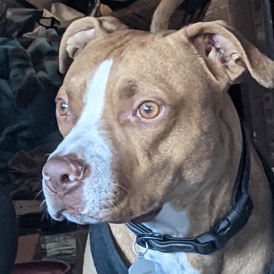 EWGS0LUTI0NS's profile picture. 