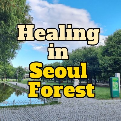 힐링 인 서울 포레스트 (Healing in Seoul Forest)