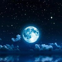 $w@rn@💫 (@meswarna) 's Twitter Profile Photo $w@rn@💫 (@meswarna) 's Twitter Profile Photo