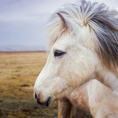 warau1031's profile picture. BL&BR新参者。🇰🇷🇹🇭🇨🇳アジア欧米映画ドラマ。たまに物書き。好きなものを好きなときに好きなだけ。時々ネタバレ。成人済推奨。20↑/shipper//裏→🔑@archive_urasaki//