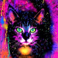Fernanda (@fernand20611731) 's Twitter Profile