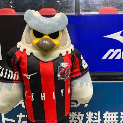 Instagramはじめました @dolekun_official 北海道コンサドーレ札幌のクラブマスコットとして、スタジアムでサポーターのみなさんとコンサドーレを応援しています☆「ドーレくん20のチャレンジ」公式YOUTUBEにて配信中☆公式LINEスタンプあります！北海道・札幌観光大使☆