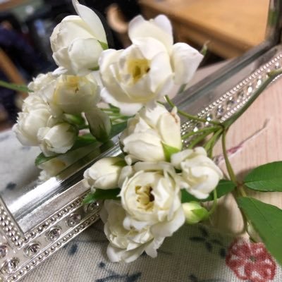 lemon97424252's profile picture. 