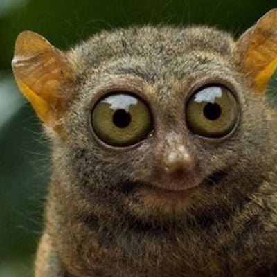 Oksana79135206's profile picture. 