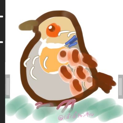 popo_kijibato's profile picture. 25歳の愛猫が天国へ旅立った後、窓からぴょこっと入ってきた1羽のキジバト🕊窓辺で日向ぼっこや私と一緒に歌ったり絶対あの子の生まれ変わりだと信じてます♡恋愛〜過酷な子育・縄張り争いまで野鳥が厳しい環境で生き抜く姿に感動。野鳥が少しでも安心して暮らせるよう2023年【手づくりバードビア ぽぽちゃん村】を開村🕊整備奮闘中