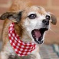 Concerned Resident of Cotton Gardens (@concernedresie) 's Twitter Profile Photo Concerned Resident of Cotton Gardens (@concernedresie) 's Twitter Profile Photo