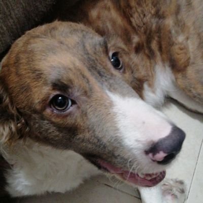 SEROSEYA_14's profile picture. 4T