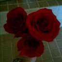 Patrick Logan - @plogan9731 - Twitter