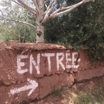 kiki8583kiki's profile picture. 