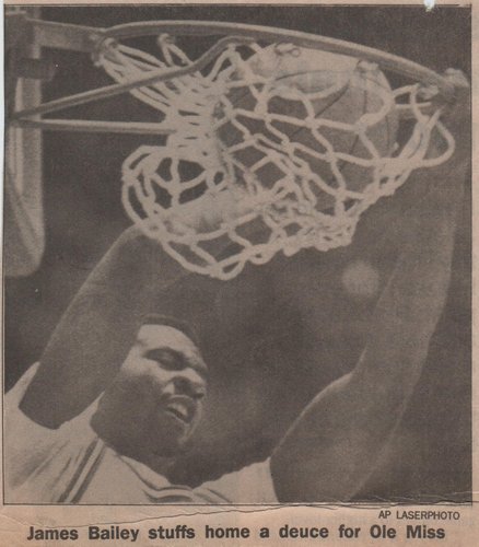 vrwildcats33's profile picture. 