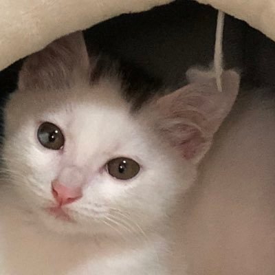 Alen_Ming0's profile picture. Apartness ｜ Junior year ｜ IOT