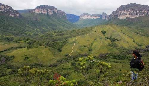 DanielChapada's profile picture. 