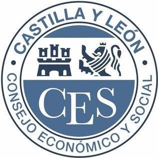 Consejo Económico y Social, Institución autonómica consultiva: CEOE Cyl, CCOO, UGT, ASAJA, UPA-COAG, UCCL, UCE, COOP, URCACYL, AEMTA y EXPERTOS JUNTA-CORTES CyL