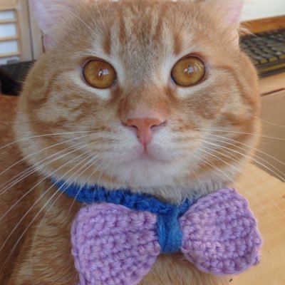 KrischCica's profile picture. psychology, childhood, developdisorders, autism & +discipline. Catlover, ❤️crafts, draw & lettering: work for a 🌎where differences are opportunities.