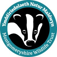 Montgomeryshire WT (@montwildlife) 's Twitter Profile