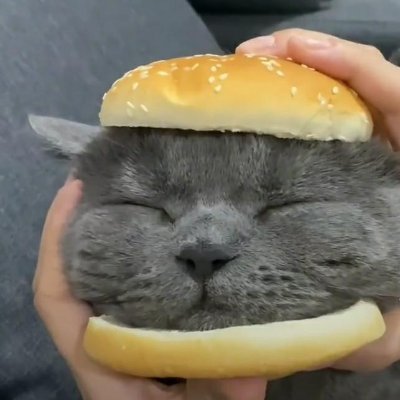 morningpages101's profile picture. 