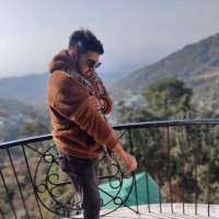 Ayush Garg (@ayugarg98) 's Twitter Profile