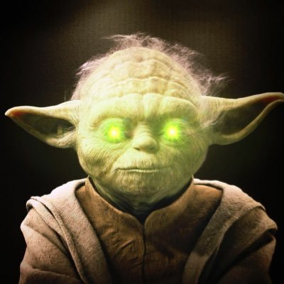 MⒶster Yolo Profile