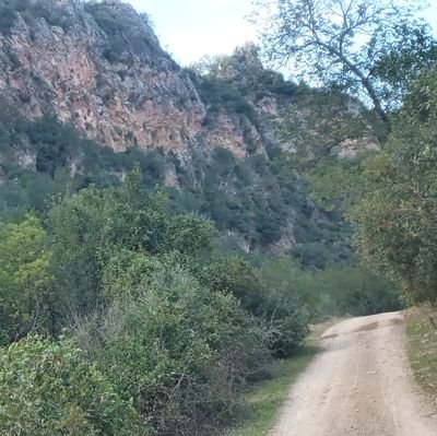 Mohamedfassi20's profile picture. البناء