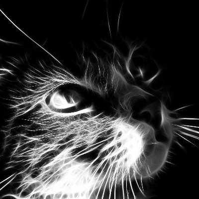 i_noir's profile picture. マイペース変人 ◆好きなもの：猫・ポケモン・モンハン・シャニマス・黒い色 ◆好きなこと：人の考え方を知る事・ぬくぬくする事・ぬいや好きなの色々撮ってる。雑多「」