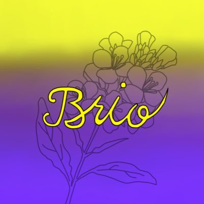 BastionBrio's profile picture. -WANB-《 Bastion 》イベント運営部隊 #eスポーツ #スポーツ大会 #レジャー #ライブ #パーティー運営 /@WANB_ALL2/@B_ROUTE_2222