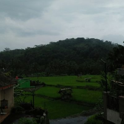 Gita79451252's profile picture. Tersenyumlah