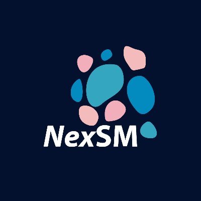 NexSM is working to strengthen the participation and position of #migrantorganisations in the discussions about #migration, #digitalisation and #socialmedia