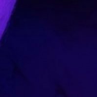 lanaynay12's profile picture. A BLM activists in Portland Oregon!