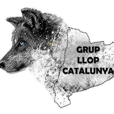 Plataforma a favor de la recuperació del llop 🐺 a Catalunya.
Respecte per la natura, equilibri entre persones i fauna salvatge