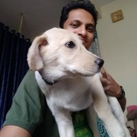 vinay (@brainchunk) 's Twitter Profile