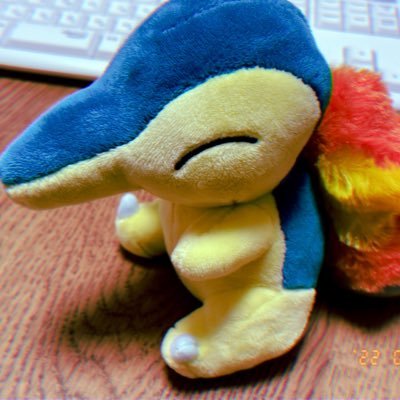 紫井さんのプロフィール画像