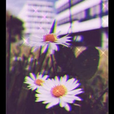 Nmahnoor09's profile picture. 