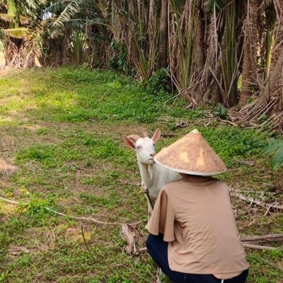 観光学部在学中(#観光学部生の1日)に休学してカウチサーファーとして海外放浪もコロナで打切→ イスラエル院進学辞退→社会人🌱持続可能な観光開発, Ethical traveler, Community development by Tourism🦧