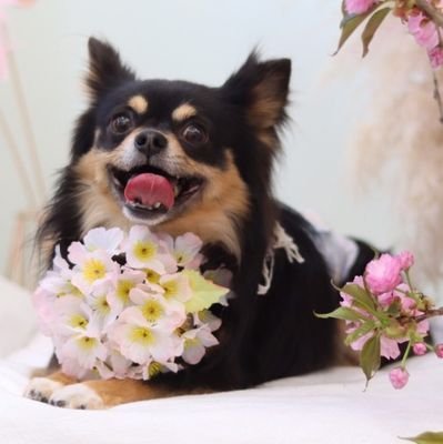 まろさんのプロフィール画像