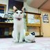 桐屋旅館 aka.ねこ宿® (@kiriya_ryokan) Twitter profile photo 桐屋旅館 aka.ねこ宿® (@kiriya_ryokan) Twitter profile photo