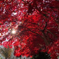 Linda Brooke (@lindabrooke6) 's Twitter Profile Photo Linda Brooke (@lindabrooke6) 's Twitter Profile Photo