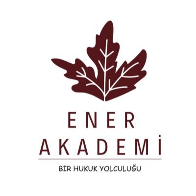 Ener Akademi