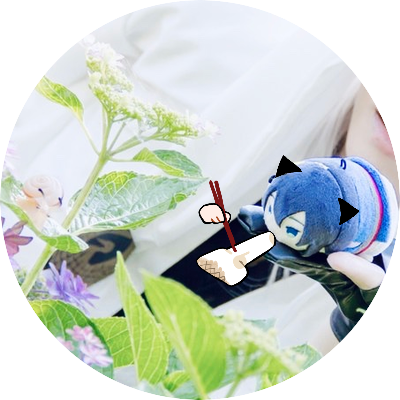 ぜんさんのプロフィール画像